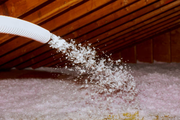 Best Residential Insulation in Leadwood, MO