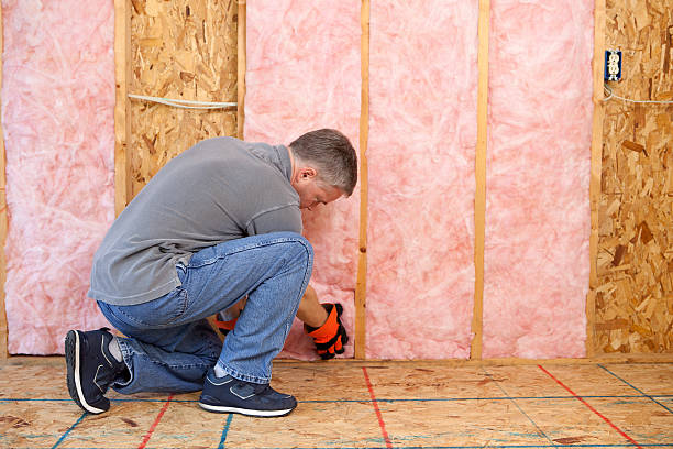 Best Spray Foam Insulation in Leadwood, MO