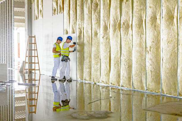 Types of Insulation We Offer in Leadwood, MO
